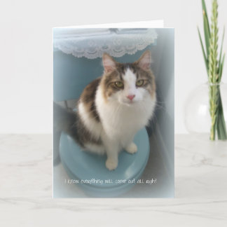 Chat sur la carte de voeux de soutien de toilette