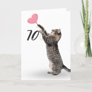 chat tabby amusant pour la carte 70e anniversaire