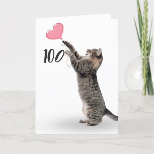 chat tabby ludique pour carte 100e anniversaire