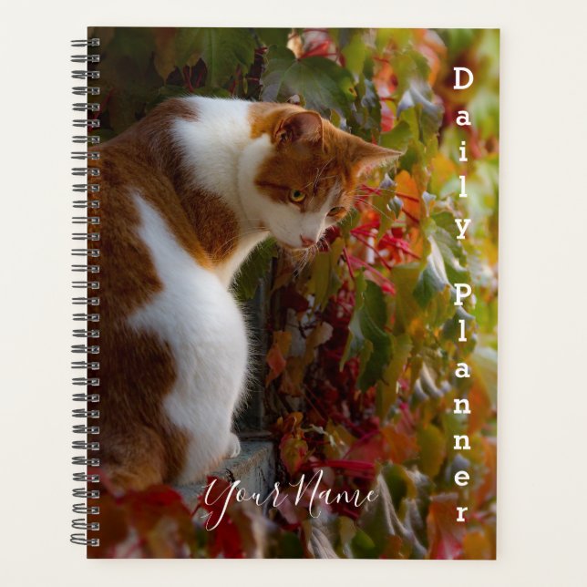 Chat tabby orange - Planificateur quotidien - HAMb (Devant)
