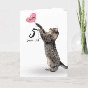 chat tabby pour la carte de 5ème anniversaire