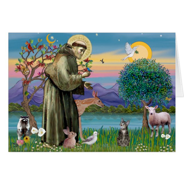 Chat (Tigré 2) - Saint François (Devant horizontal)