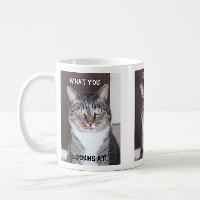 Chat tigré ce qui vous, regardant la tasse de café (Gauche)