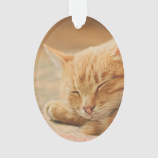 Chat tigré orange de sommeil