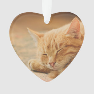 Chat tigré orange de sommeil