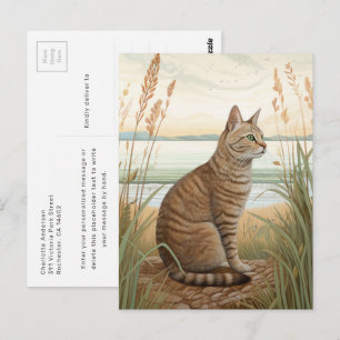 Chat tigré sur la plage - Carte postale