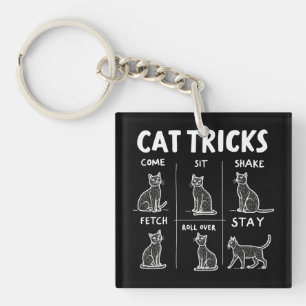 Chat Tricks Purr-Fparfaitement Hilarious Feline Fu