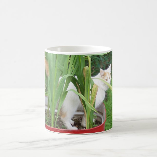 CHAT TURKISH VAN EN MUG FLEURIER (Centre)