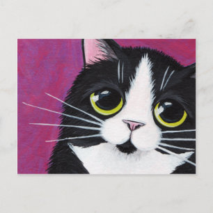 Chat Tuxedo Kitty sur une carte postale rose