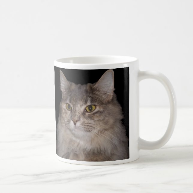 Chat velu gris sur la tasse de café (Droite)