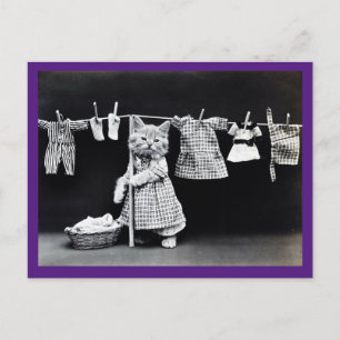 Chat victorien, Vintage, Carte postale Art Chat