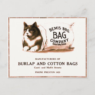 Chat vintage dans le sac carte postale