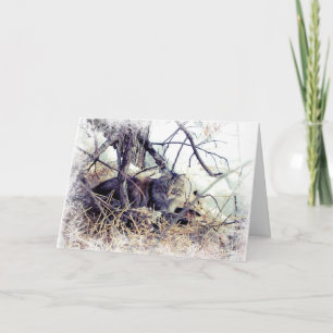 Chat Woodland dans la carte de Noël Neige