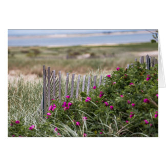 Chatam Light Beach Fence