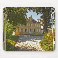 Chateau Cos Labory in Saint St Estephe, wrought