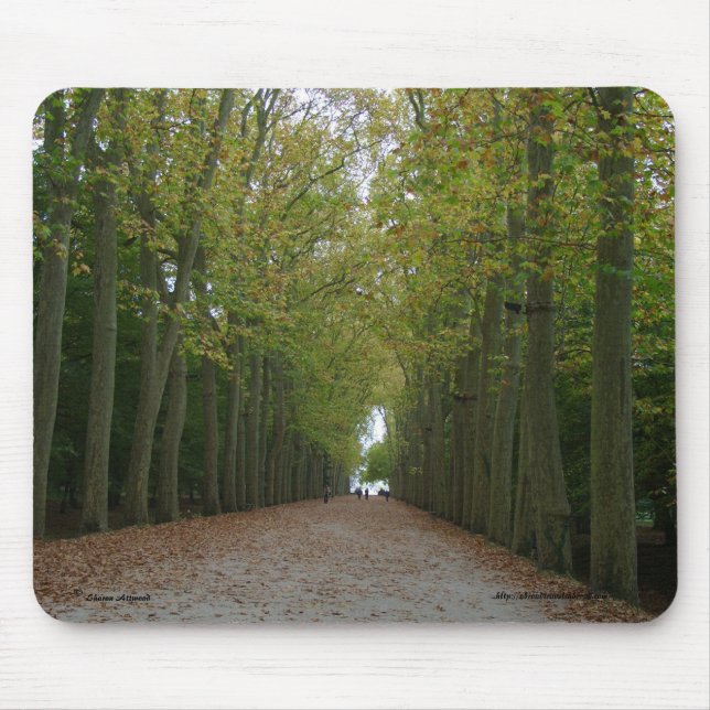 Chateau de Chenonceau Mousepad (Front)