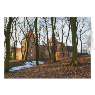 Château de l'Ordre Teutonique Neidenburg - Carte