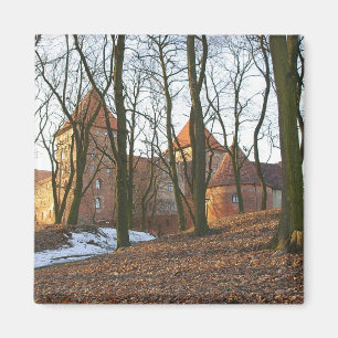Château de l'Ordre Teutonique Neidenburg - Magnet