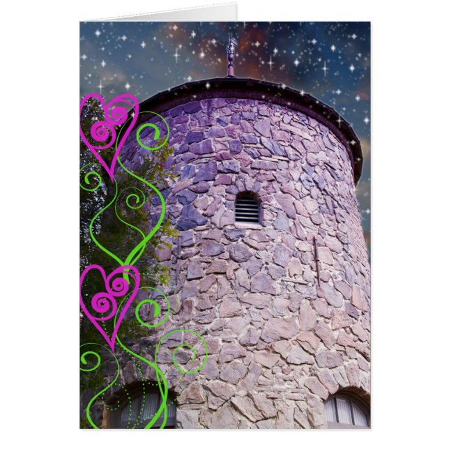 Château magique (Devant)