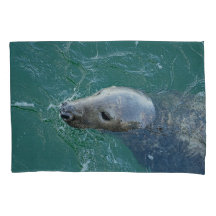 Chatham's Finest Grey Seals