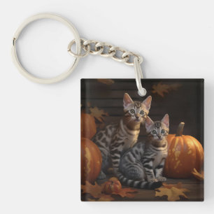 Chaton Bengal Automne Délice Citrouille 