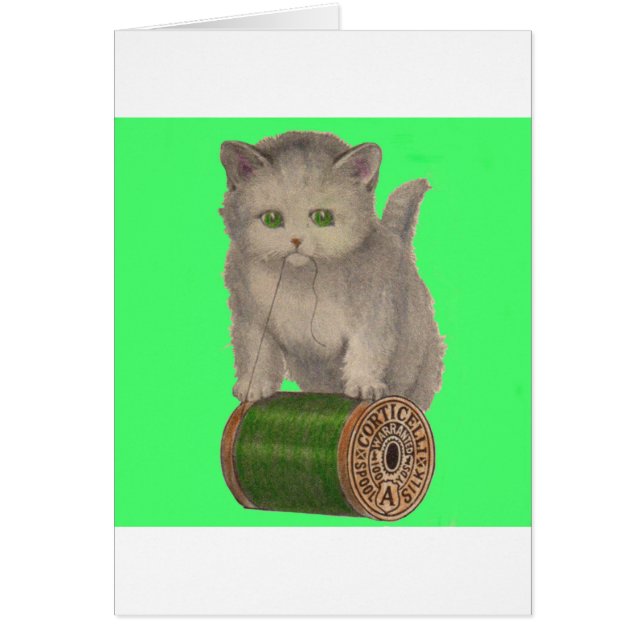 Chaton blanc Corticelli 1930 (Devant)