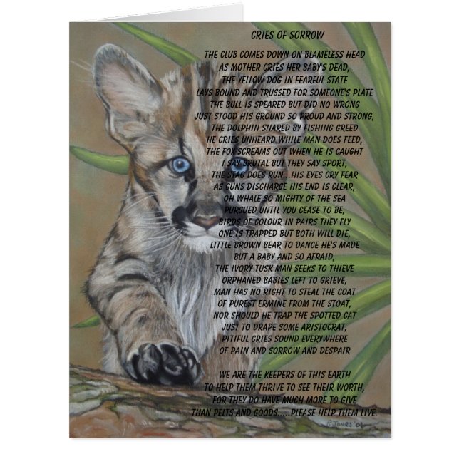chaton cougar chaton grand chat peinture de la fau (Devant)