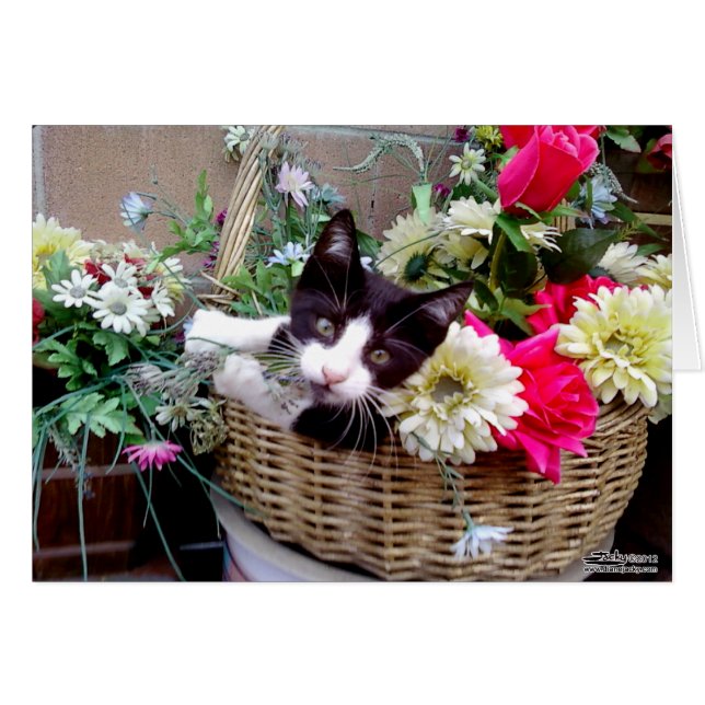 Chaton dans un panier (Devant Horizontal)