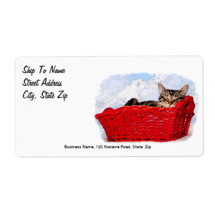 Chaton de sommeil dans le panier rouge lumineux
