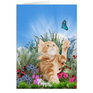 Chaton gingembre jouant avec un papillon