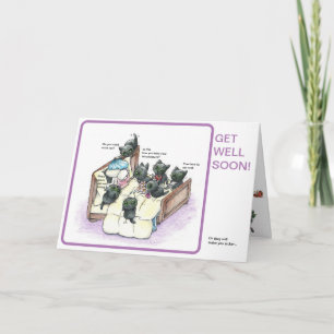 chaton noir blanc obtenir carte bien