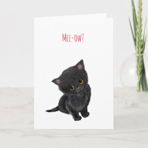 Chaton noir obtenir carte de bien