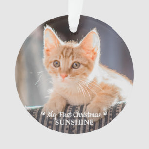 Chaton photo pour animal de compagnie personnalisé