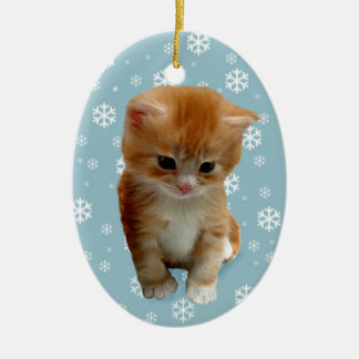 Chaton rouge mignon, flocons de neige sur ornement