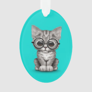 Chaton tigré gris mignon avec des verres d'oeil