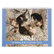 Chatons ! 2024 Mon Feral Lady kitten Calendrier