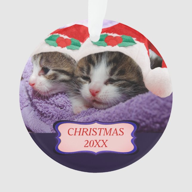 Chatons avec chapeau de Père Noël Noël 20XX (devant)