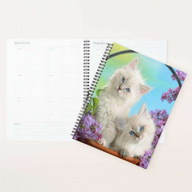 Chatons et Lilacs (Devant avec enveloppe)