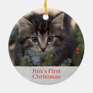 Chatons pour animaux domestiques Premier ornement 