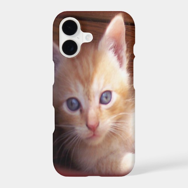 Chats (Verso)