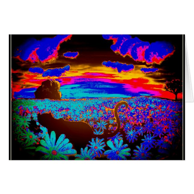 Chats 2 (Devant horizontal)