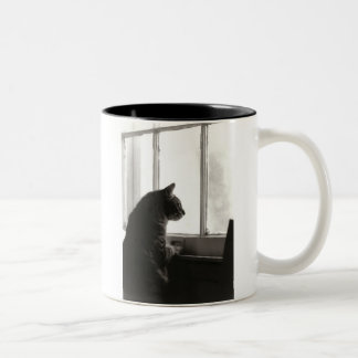 Chats à la tasse de fenêtre
