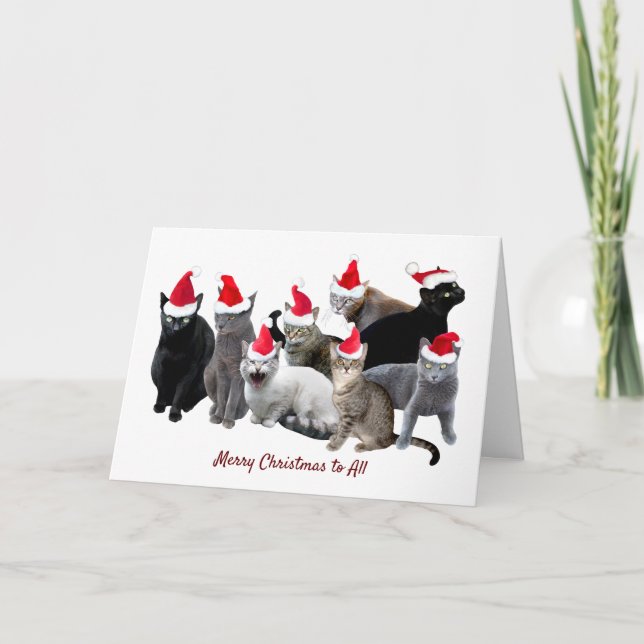 Chats à Santa Hats Carte de Noël (Devant)