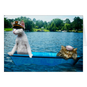 Chats à voile