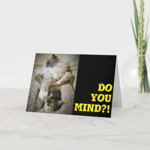 Chats amusants, carte