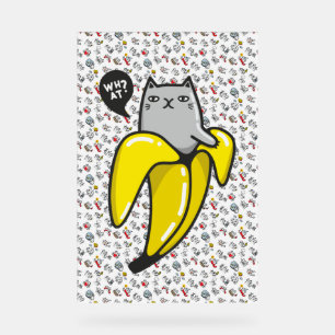Chats amusants, lait et magie.