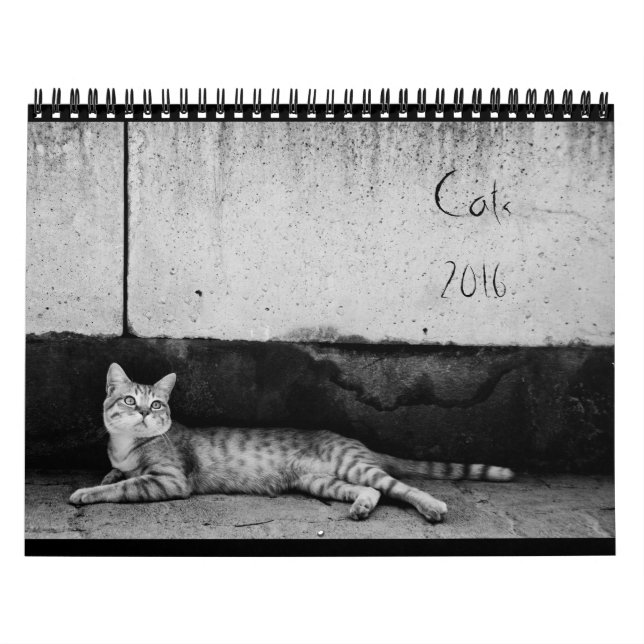 Chats - calendrier 2016 (Protection)