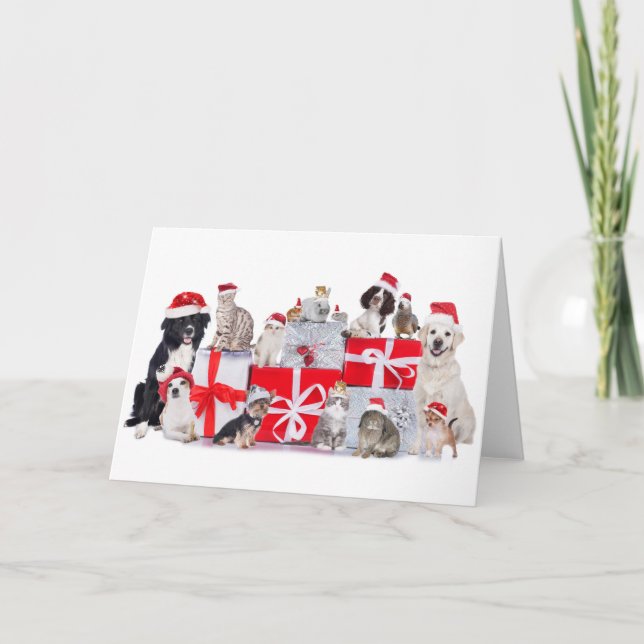 Chats & Chiens & Animaux - Carte de Noël (Devant)