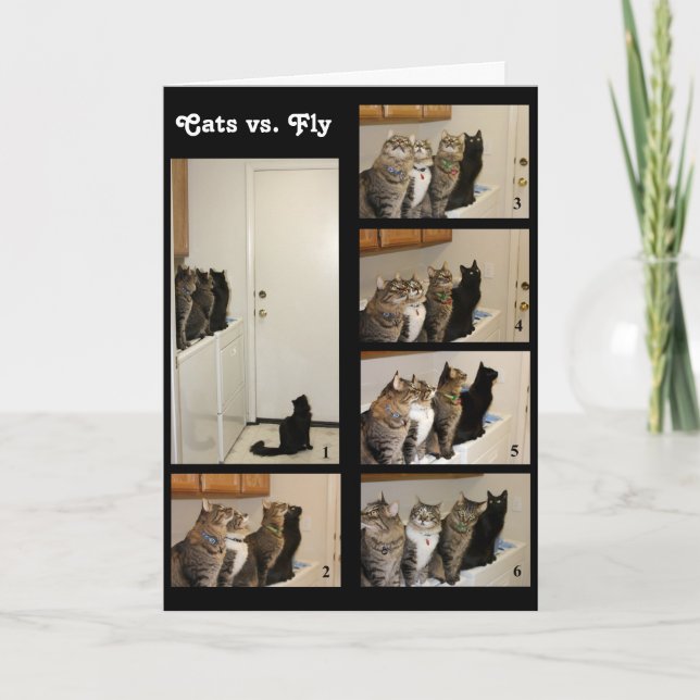 Chats contre carte d'anniversaire de vol (Devant)