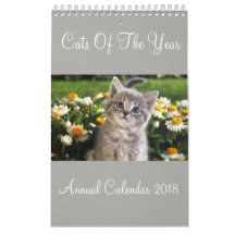 Chats De L'Année Calendrier Annuel 2018